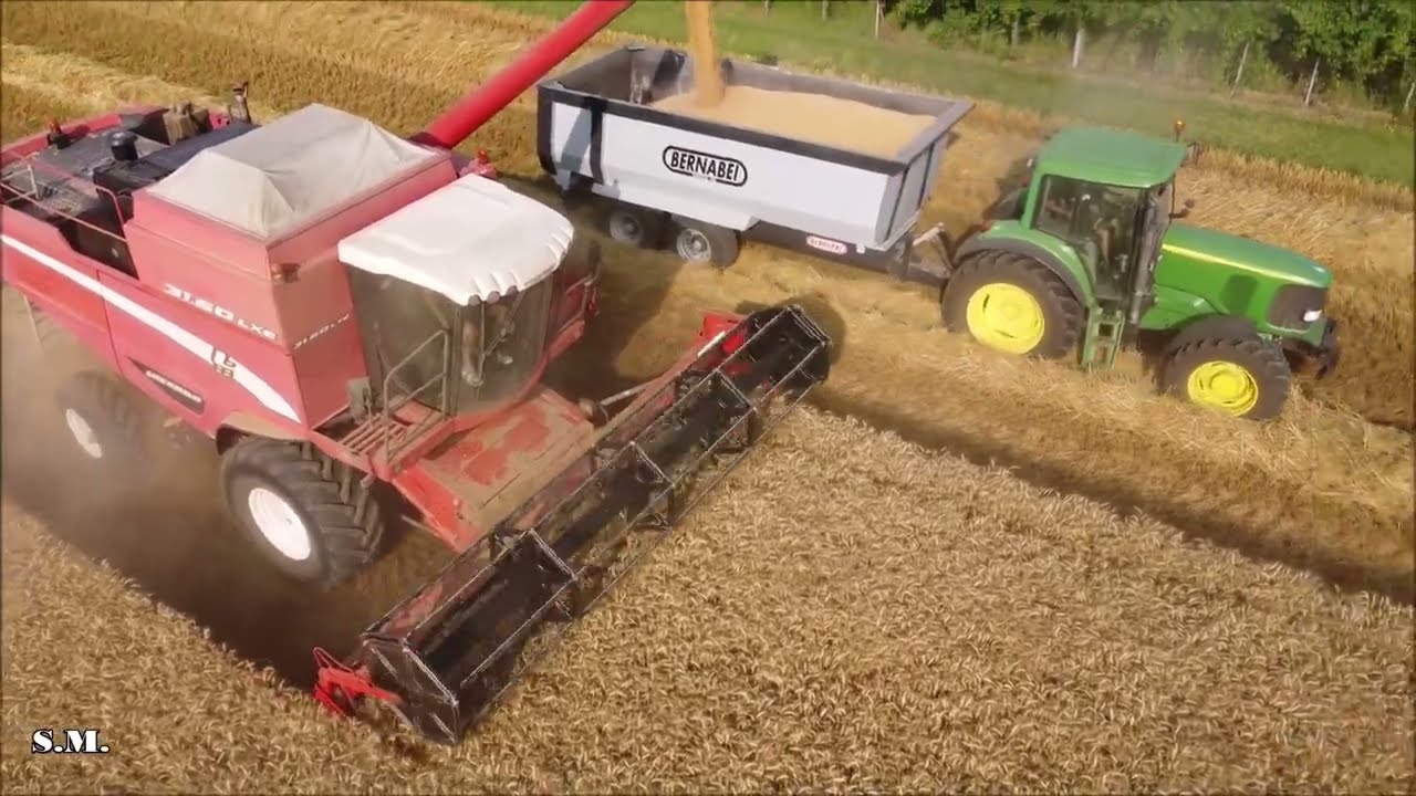 TREBBIATURA 2023 - GRANO TENERO