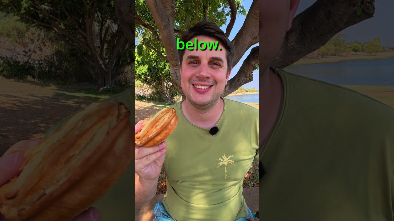 Best Meat Pie in Australia 🇦🇺 Big Dad's Pies #food #review #meatpie e