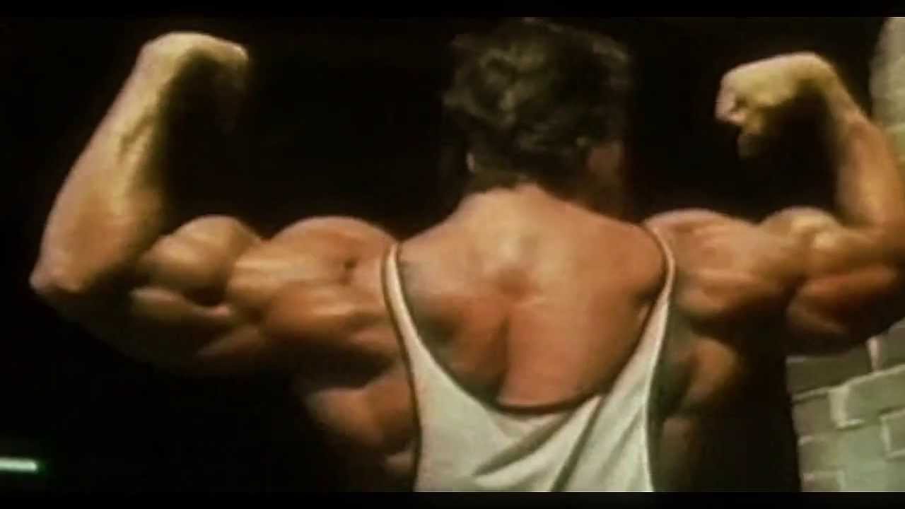 Arnold Schwarzenegger Bodybuilding Motivation 2013 [HD]