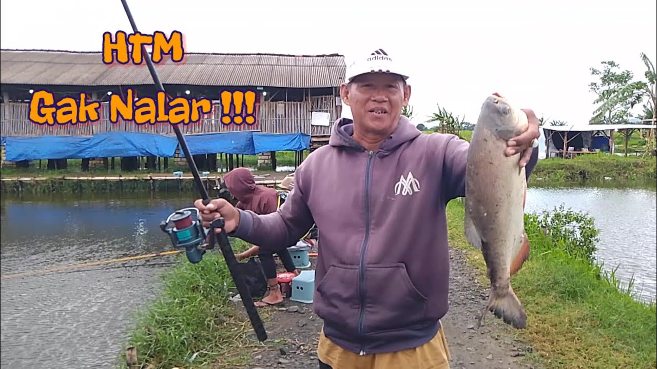 Gak Masuk Akal HTM-nya !!! Mancing Di Kolam Harian Campuran Ikan Bawal - Patin - Nila - Lele
