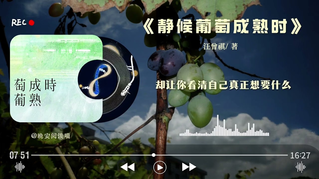 睡前听完一本书｜《静候葡萄成熟时》“何时葡萄才熟透，你要静候再静候。”#好书分享 #书籍分享 #读书分享 #抖音精选