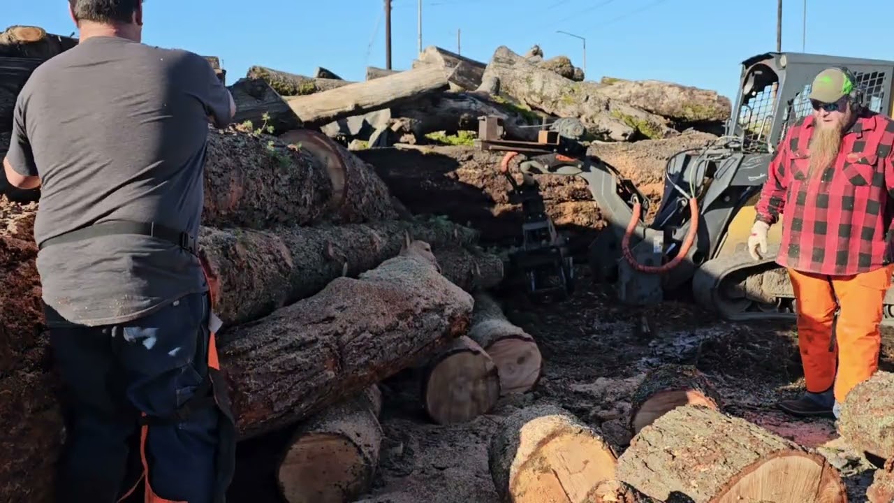 Nothing like a good cutting party #viral #letsgo #goodfriends @DanielAtkinsFirewood 
