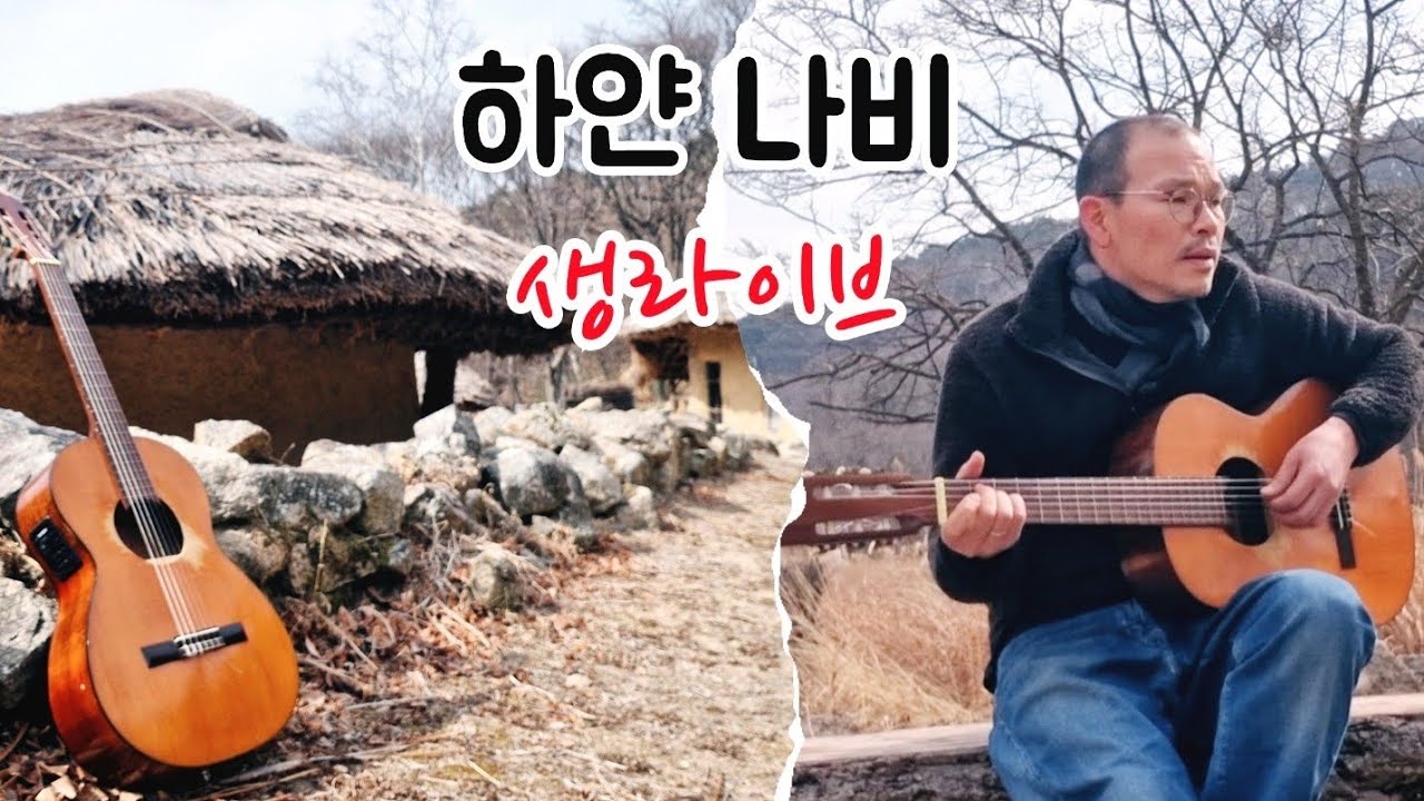 하얀 나비 - 김정호 (한티억새마을에서)