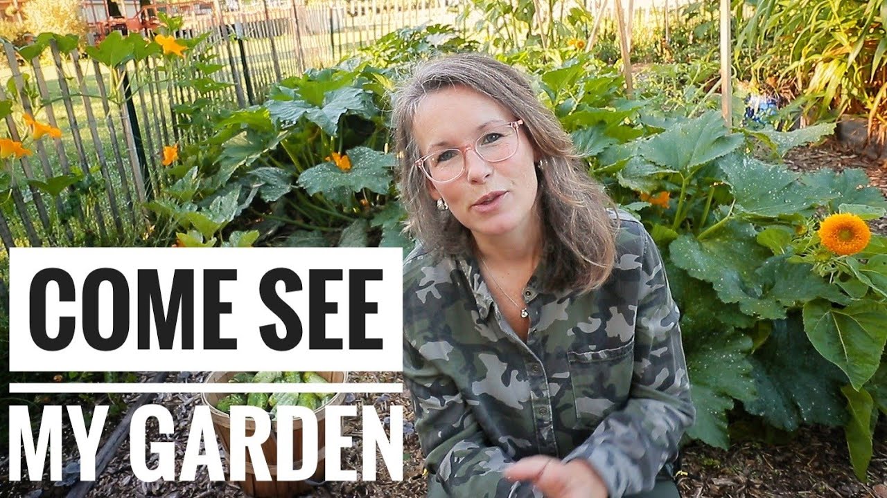 My Complete Garden Update | Organic, No Till, Raised Bed, Ruth Stout Gardening