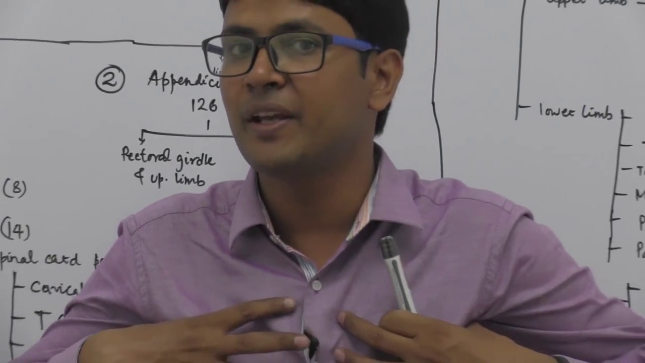 Skeletal System - Locomotion & Movement - Dr. Rajeev Ranjan - NEET preparation videos
