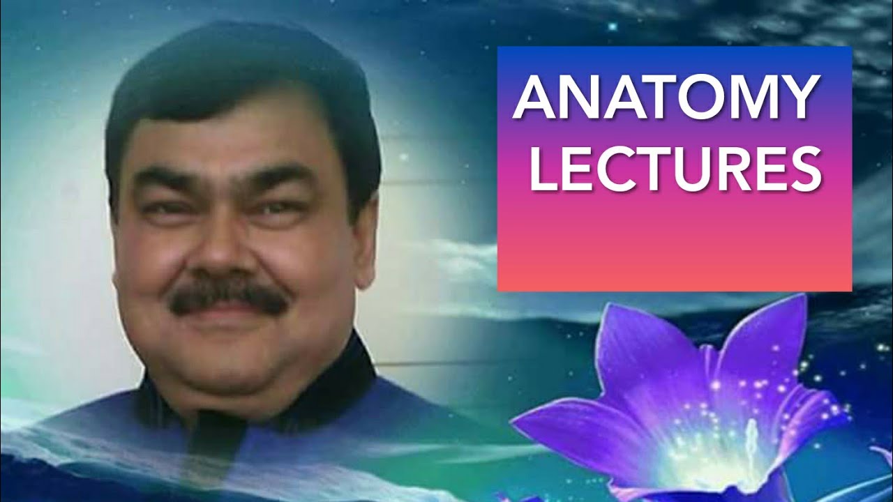 Urinary bladder part 1/6 by Dr A K SINGH