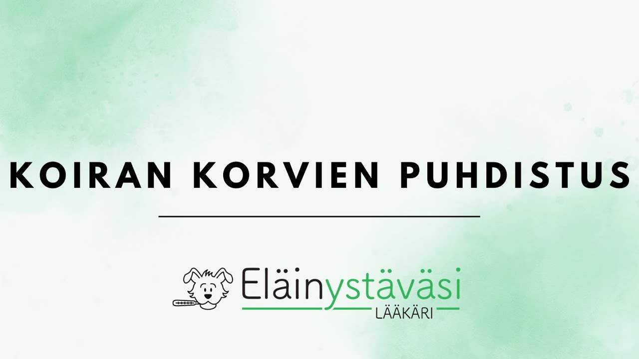 Koiran korvien puhdistus | Eläinystäväsi Lääkäri