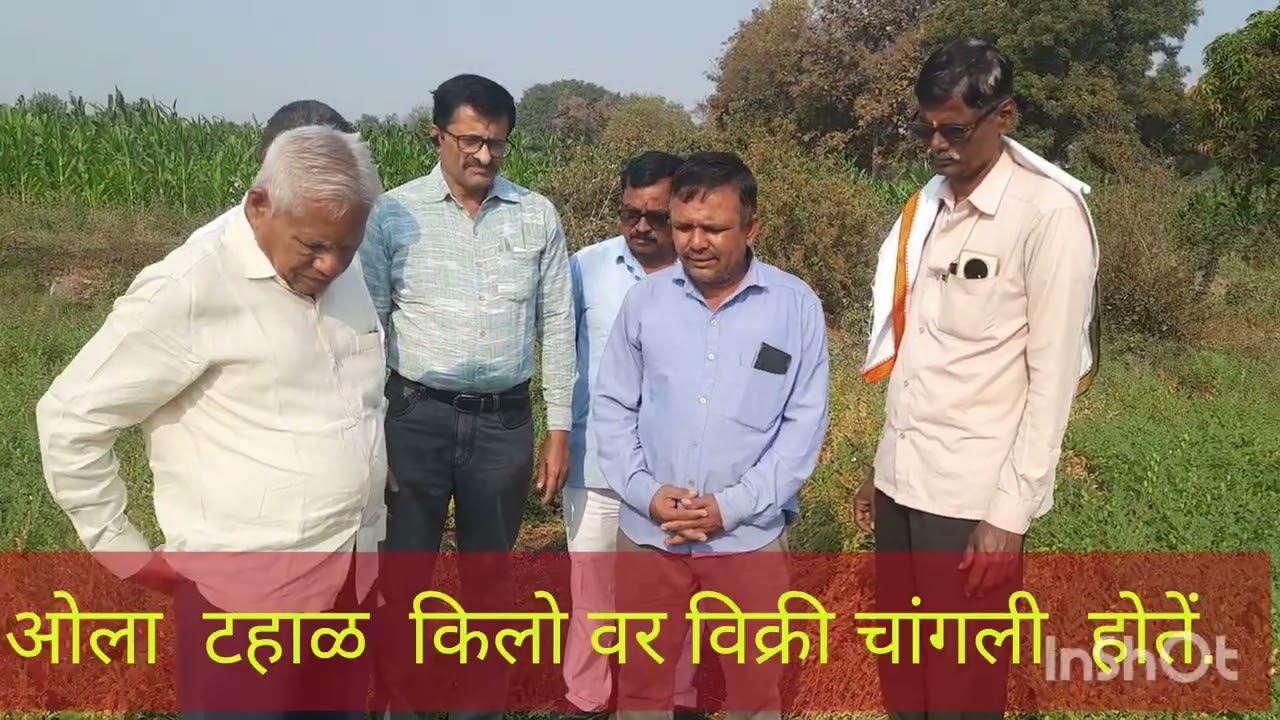 पुसा मानव  हरभरा वाण 20211 भारतीय कृषी अनुसंधान  केंद्र दिल्ली.