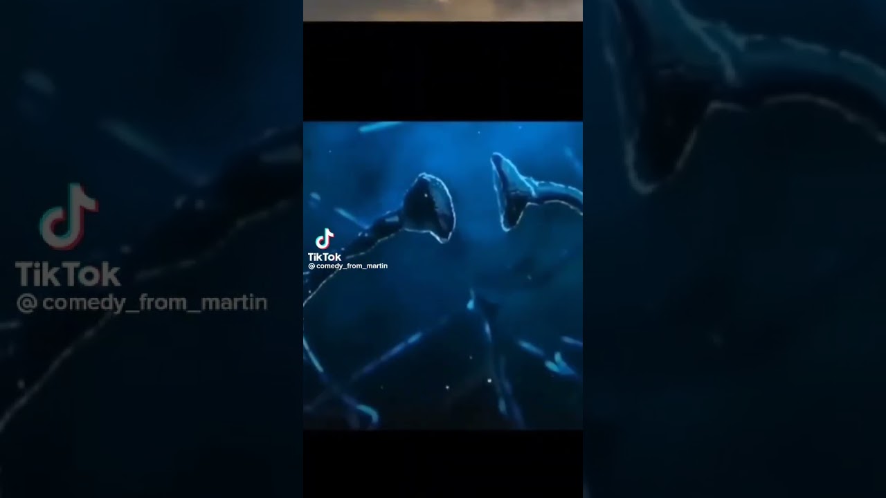 La inteligencia  te persigue pero tu eres m&aacute;s r&aacute;pido TikTok ramdom  #shorts