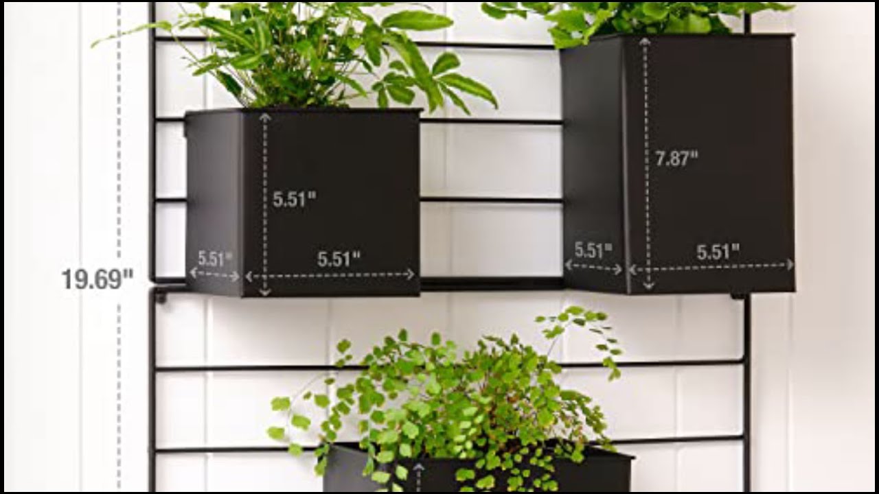 Top 10 Vertical and Wall Planters You Can Buy  March 2023