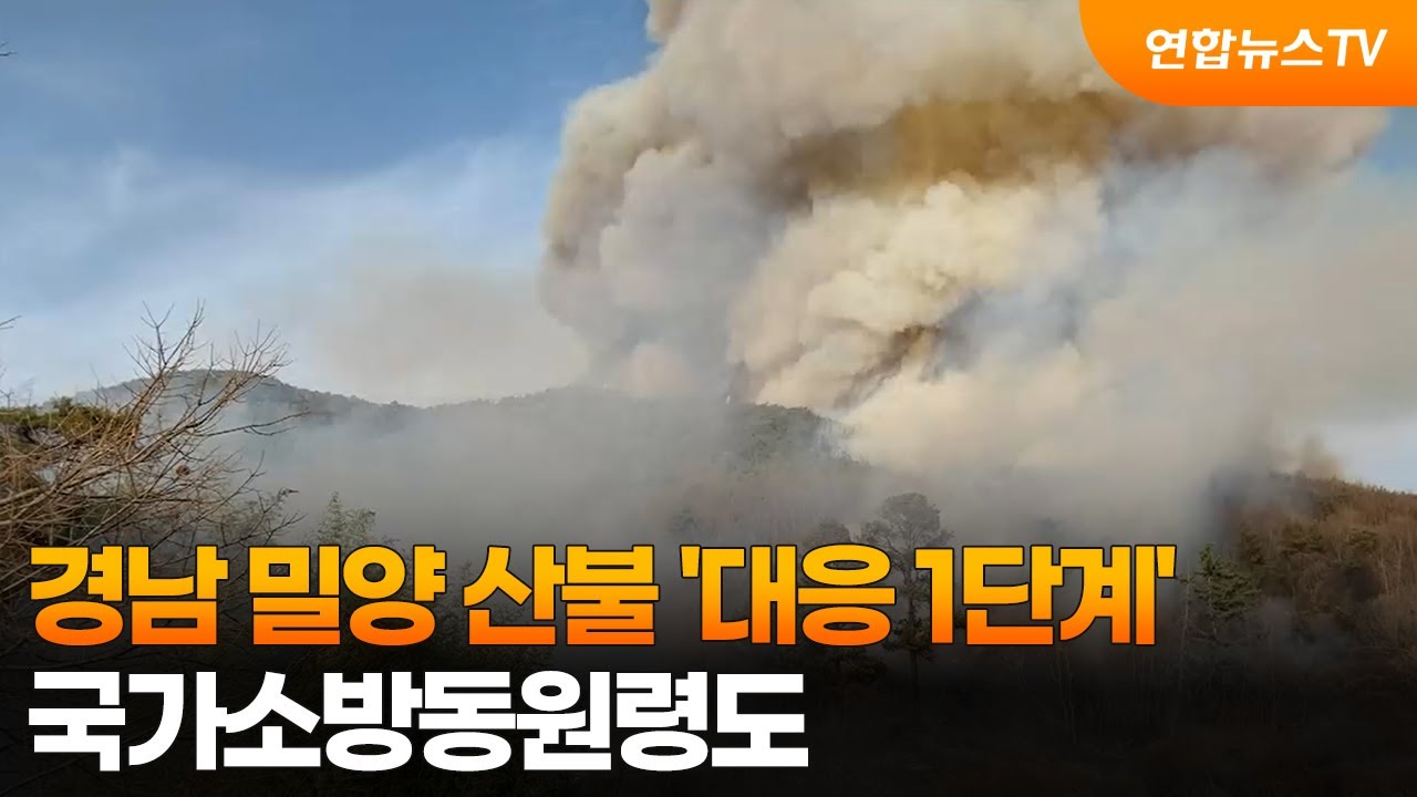 경남 밀양 산불 '대응 1단계'…국가소방동원령도 / 연합뉴스TV (YonhapnewsTV)