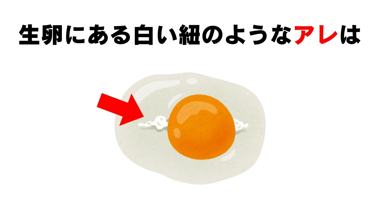 【雑学】 9割が知らないアレの名前