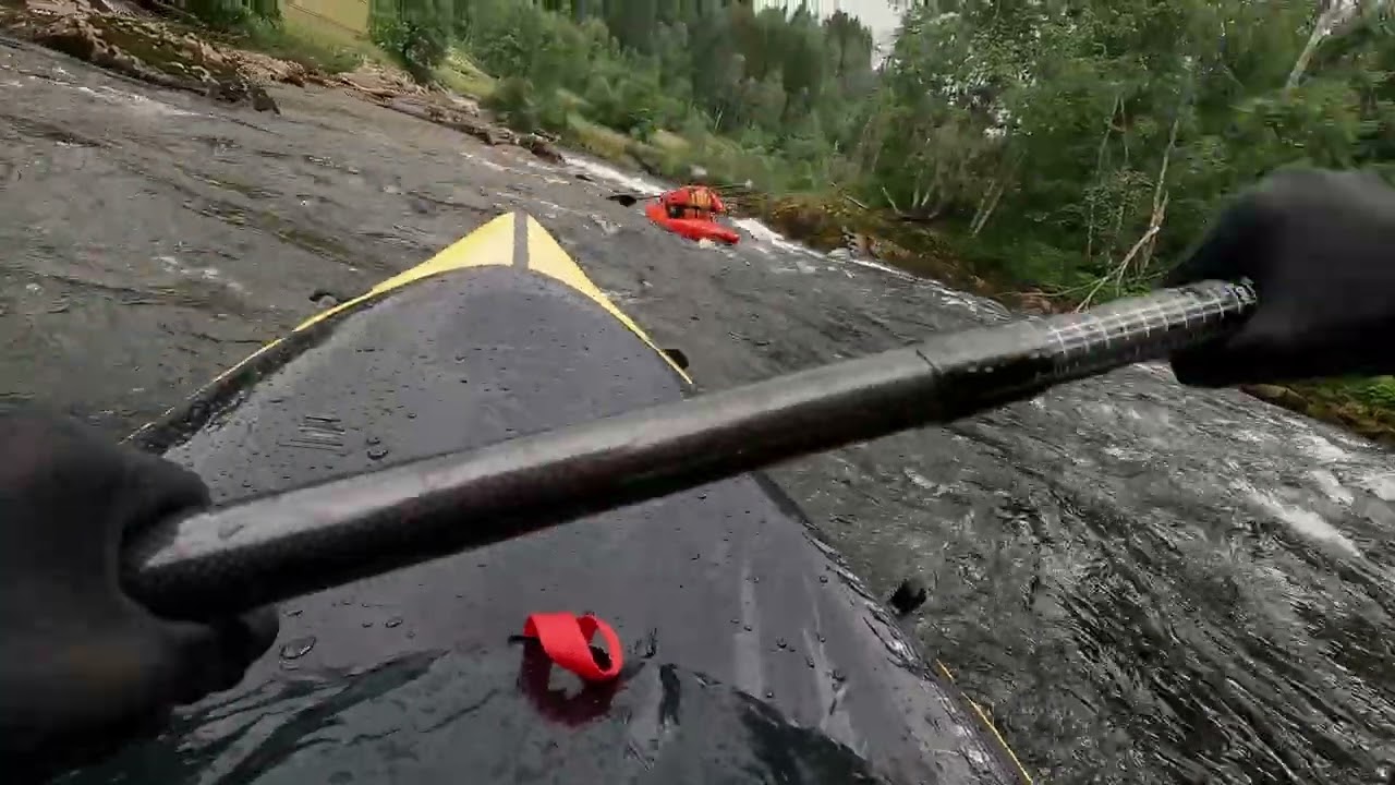 Grunnkurs elv.  V&aring;tt og Vilt