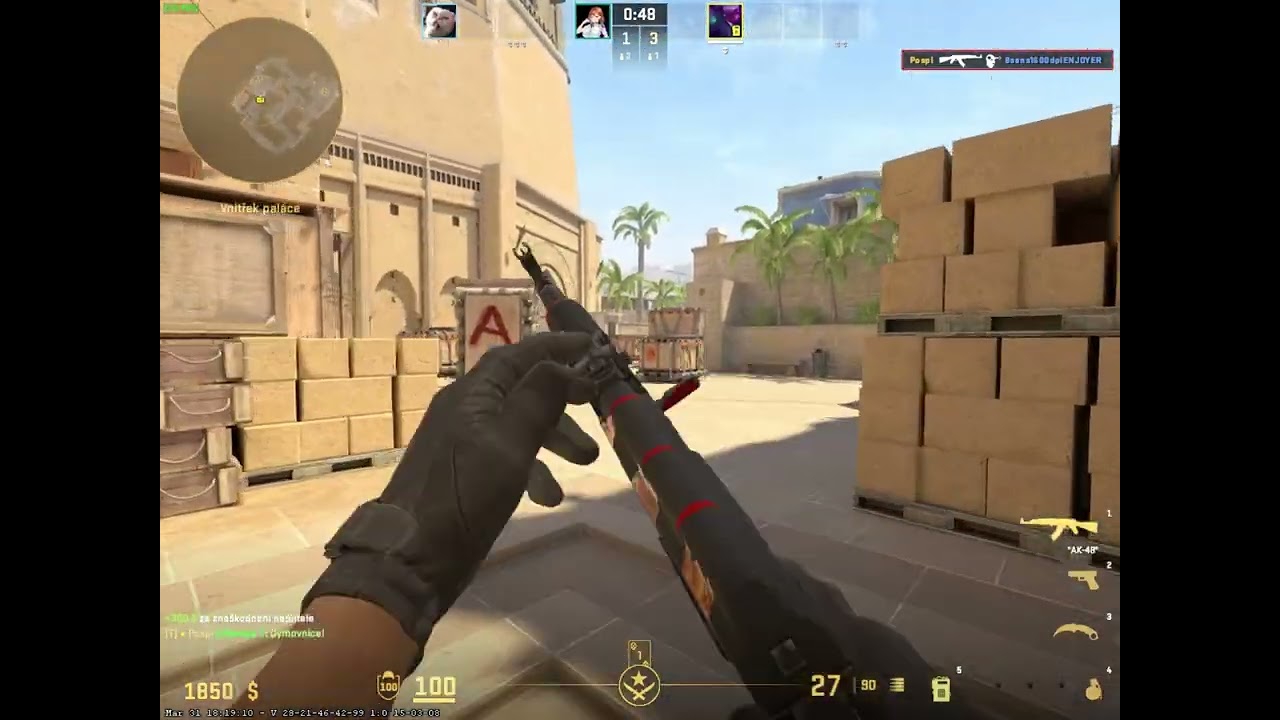 CS2 HIGHLIGHTS #41