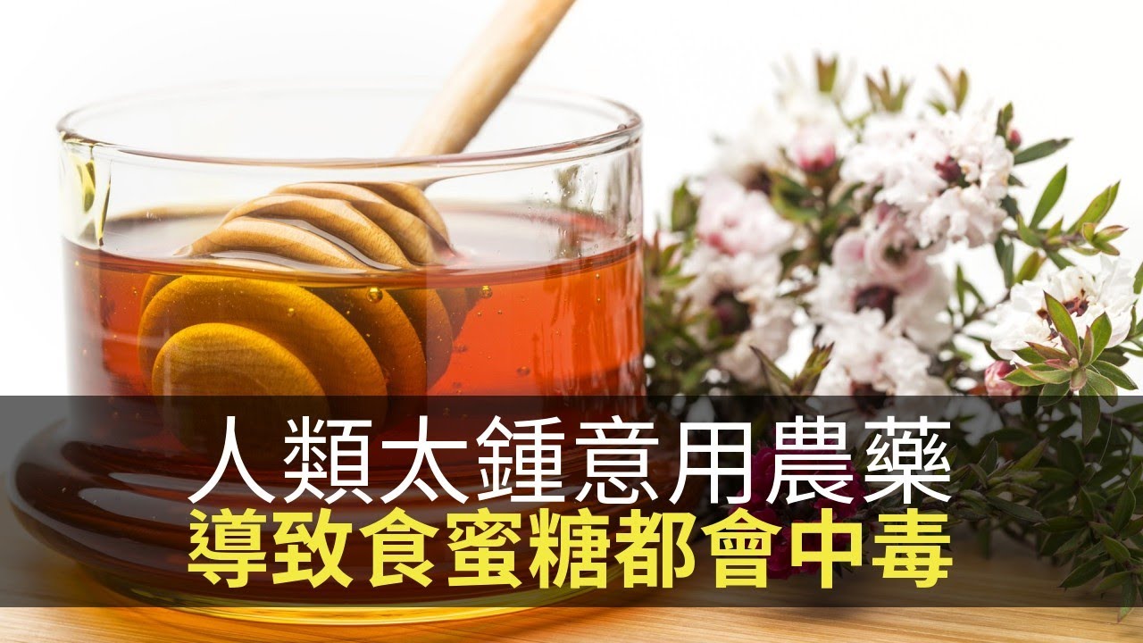 思浩提提你冬天飲蜜糖要小心！食蜜糖中毒都係因為人類太鍾意用農藥！(大家真風騷)