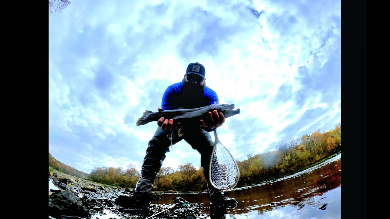 FLY FISHING MISSOURI : LAKE TANEYCOMO