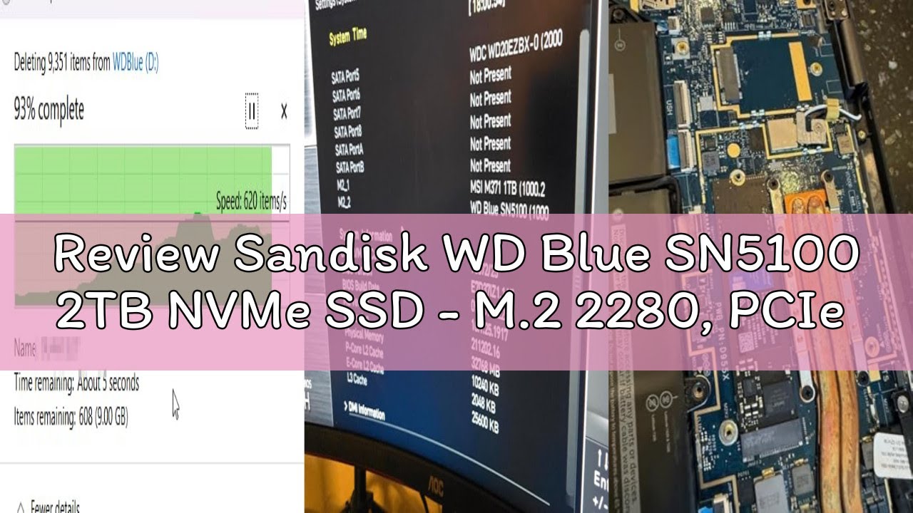 Review Sandisk WD Blue SN5100 2TB NVMe SSD - M.2 2280, PCIe Gen 4.0, Internal Solid State Drive - Re