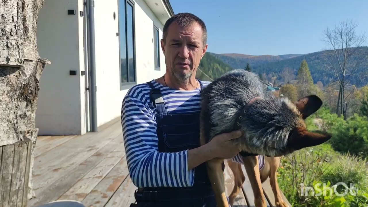 Деревня Большой Унгут река Мана и моя собака