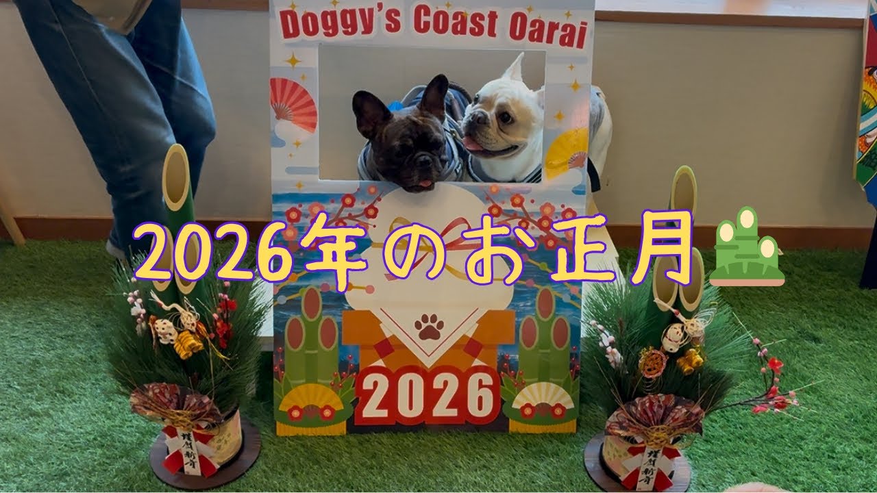 2026年のお正月　〜ドギーズコースト大洗〜