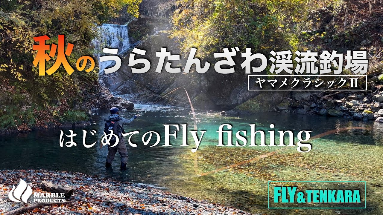 秋の【うらたんざわ渓流釣場】でフライフィッシングに挑戦/紅葉のベストシーズンヤマメクラシック２で遊ぶ【Fly】【テンカラ】