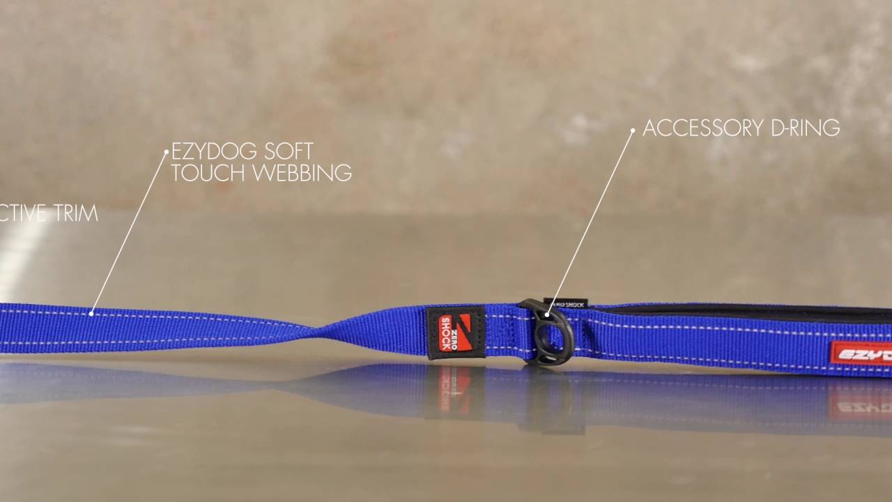 EZYDOG Zero Shock Leash
