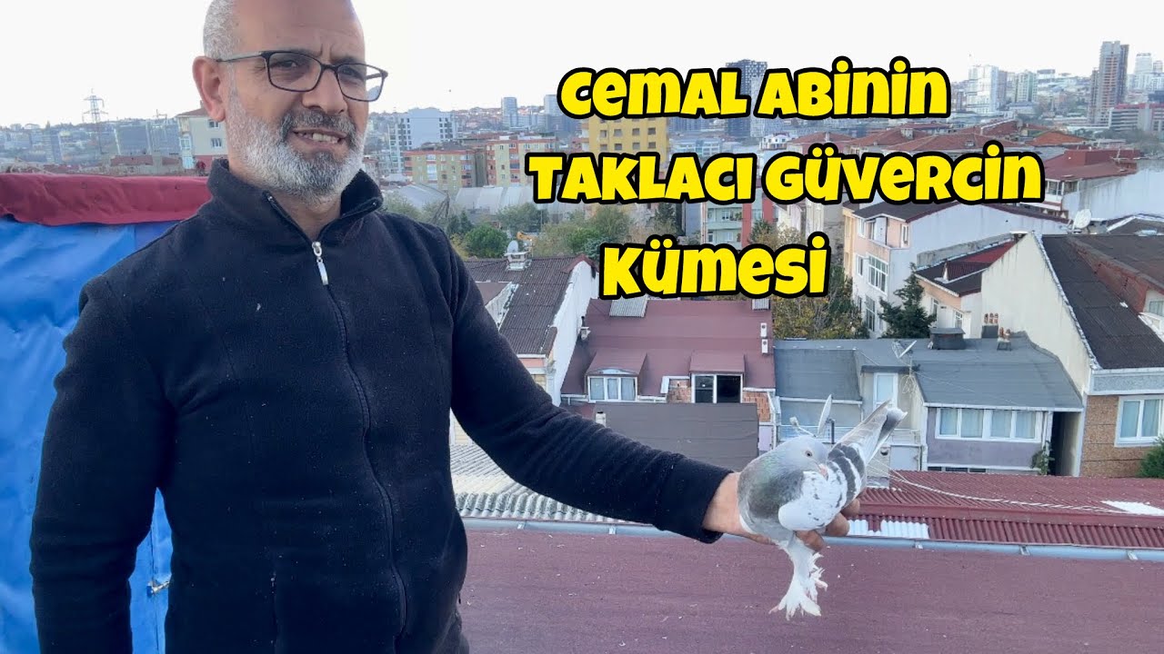 Cemal Abi Kümes Ziyareti Taklacı Güvercin Uçumu 🕊️ Yeni Kanalımız 🫶 @Önder Çağdaş