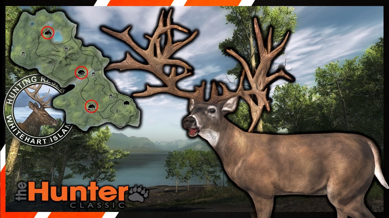 Обзор спота S-класса на острове Уайтхарт | theHunter Classic