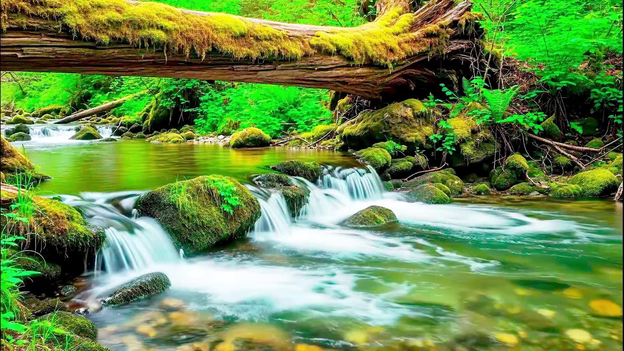 Natural River Sound for Deep Sleep | Stress Relief Audio for Health & Mindfulness
