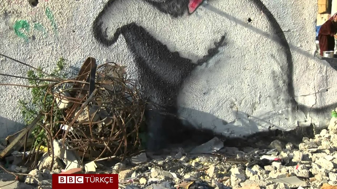 Ünlü grafiti sanatçısı Banksy Gazze'deydi - BBC TÜRKÇE