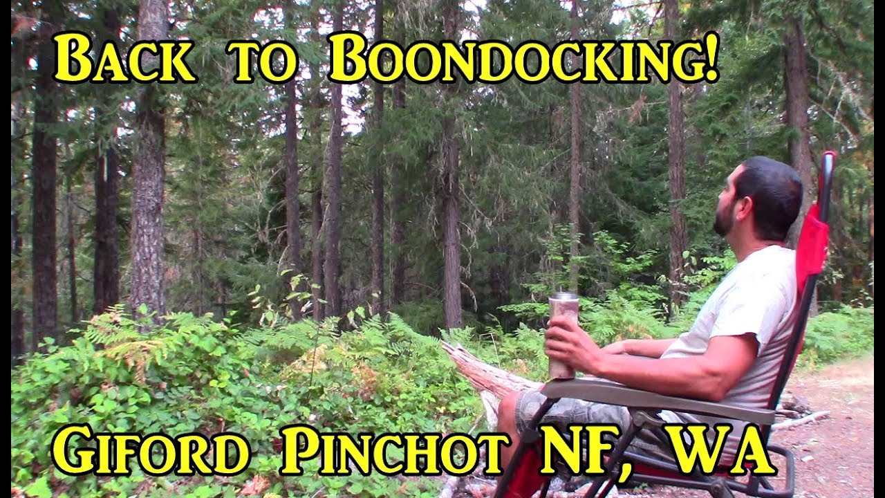 Back to Boondocking! Gifford Pinchot NF, WA VanLife On the Road