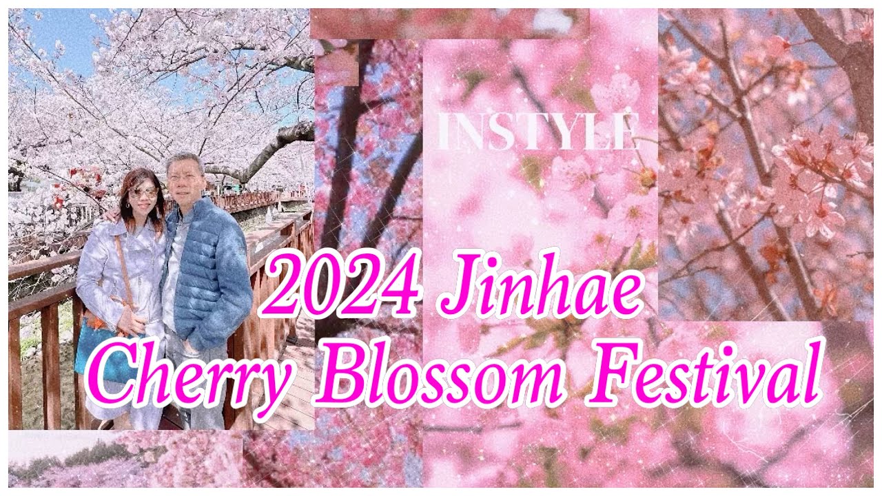 Complete itinerary from April 2024 Jinhae Cherry Blossom Festival 🌸🇰🇷 #spring #jinhae #진해 #진해여행