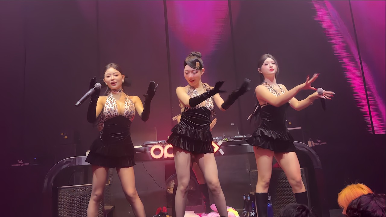 1 Hour | Westlife - My Love (Dj阿帆 ProgHouse Remix 2026 无心睡眠鼓)