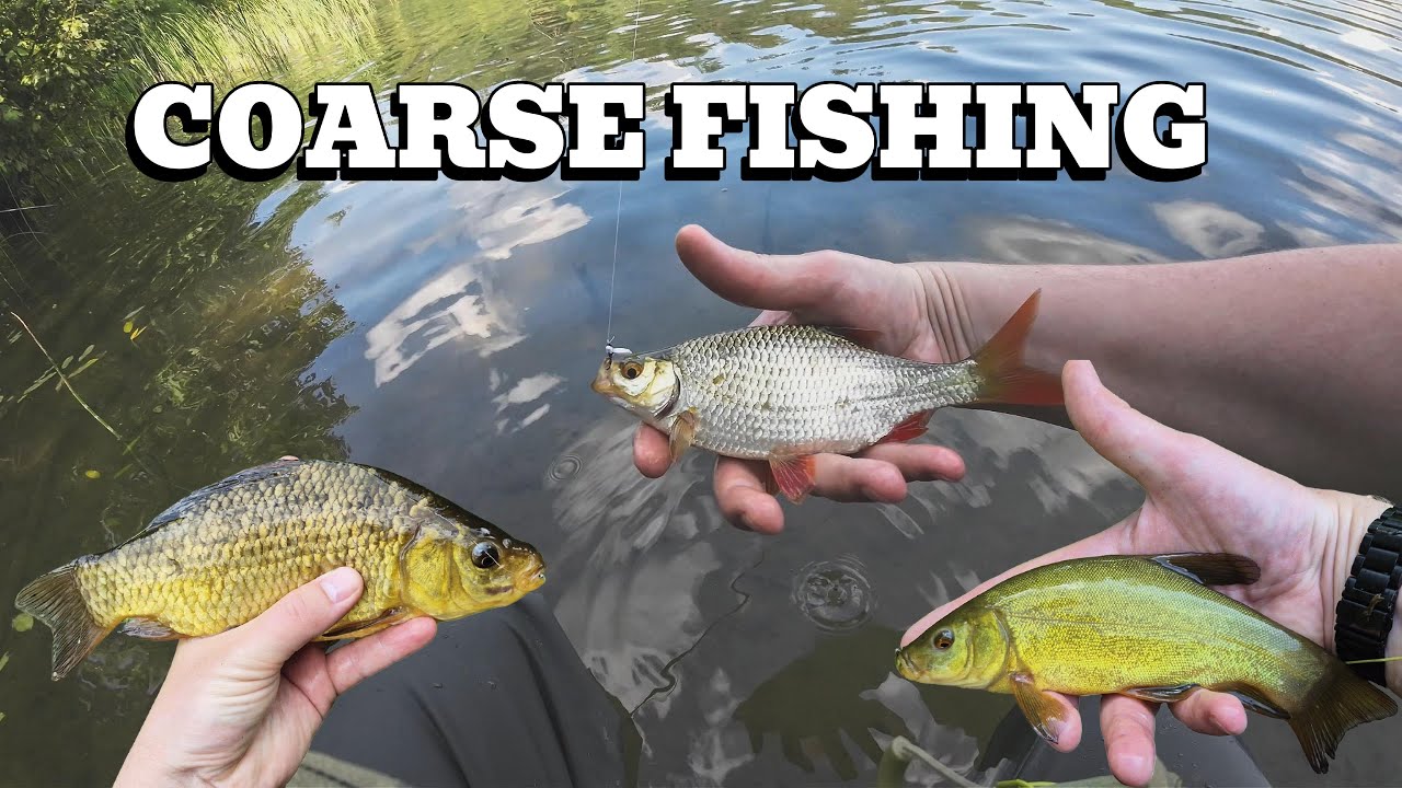 Dry Fly Fishing For Rudd In Crystal Clear Lake - Surprise Catches! (FIN SUBS)