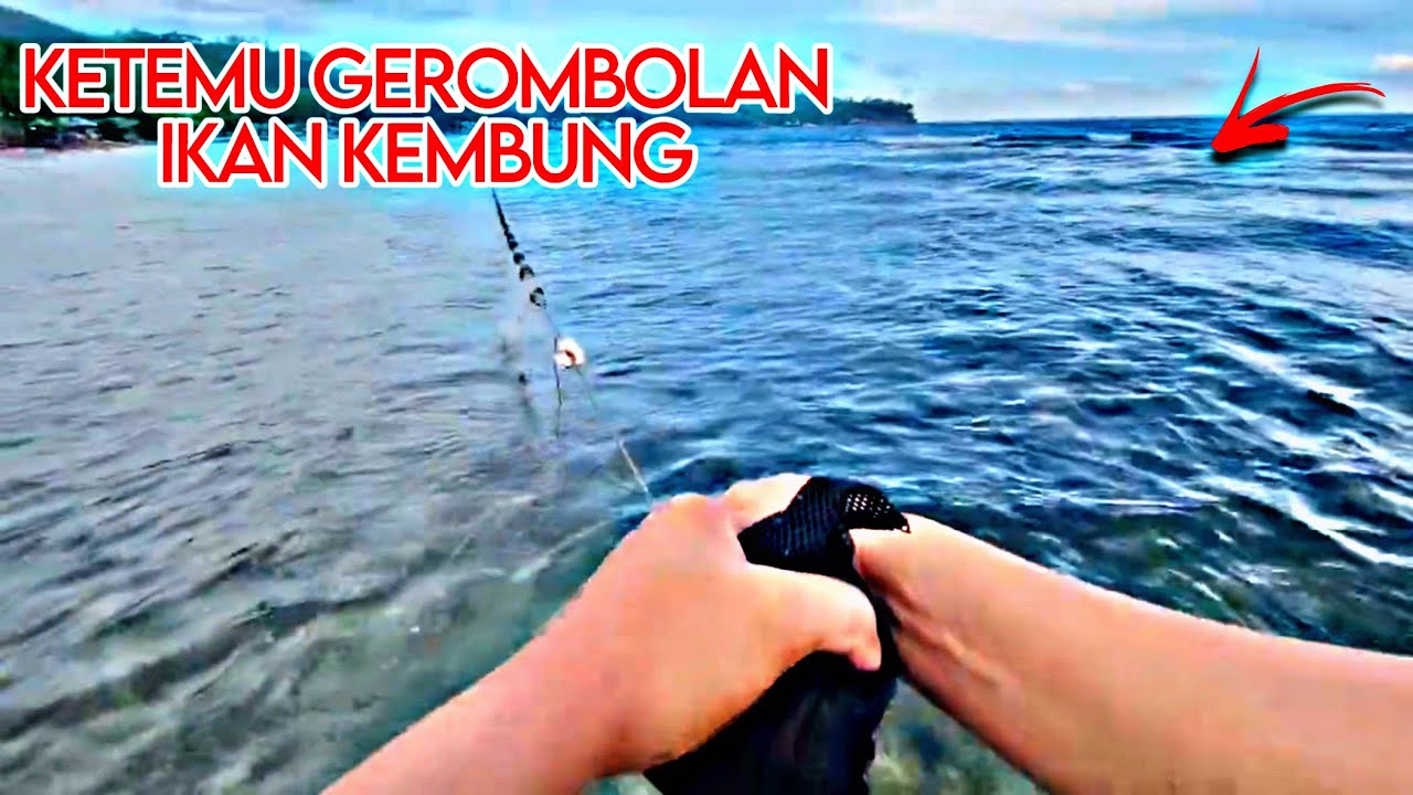 GILA ‼️ MENJARING IKAN KETEMU GEROMBOLAN IKAN LAGI MAIN DI PINGGIRAN😱