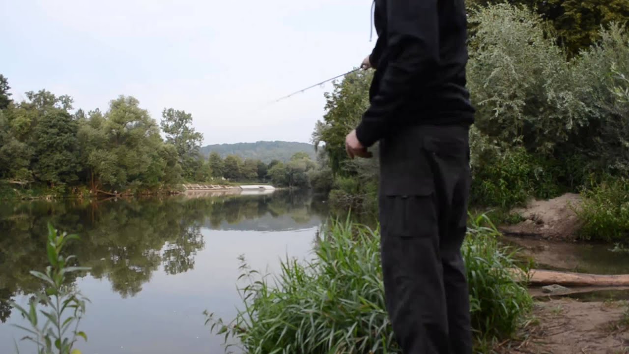 Ein Barsch kommt selten allein.