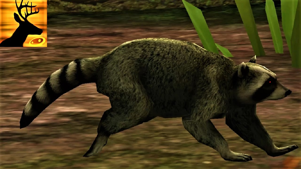 Deer Hunter 2014 [Part 69] [4K]