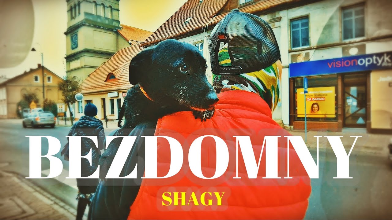 🐕 BEZDOMNY PIESEK - SHAGY 🐕 wizyta w sklepie ZOOLOGICZNYM 🌈 moje MINI ZOO / odc. 98