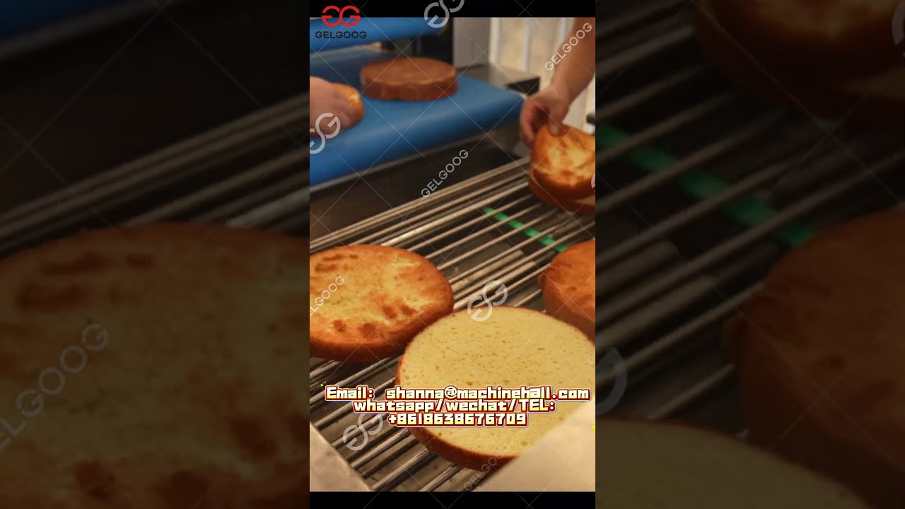 Fully Automatic Round and Square Cake Base production line