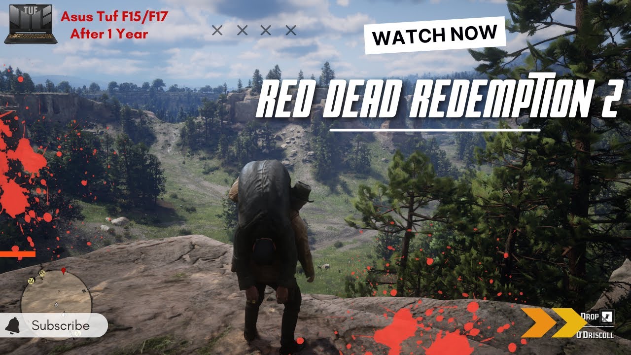 ASUS TUF F15/F17 | After 1 year | Red Dead Redemption 2 test | Worth It?