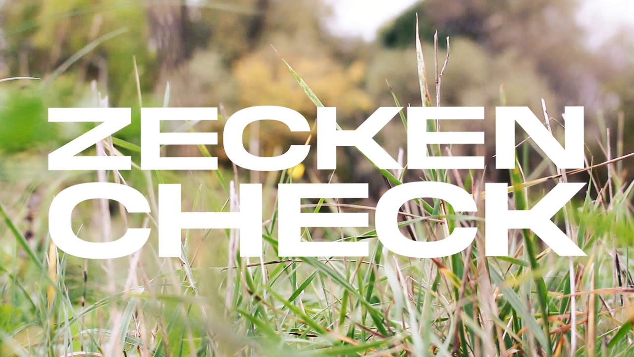 DJ Hornhaut  - Seggenscheck (Lyric Video)