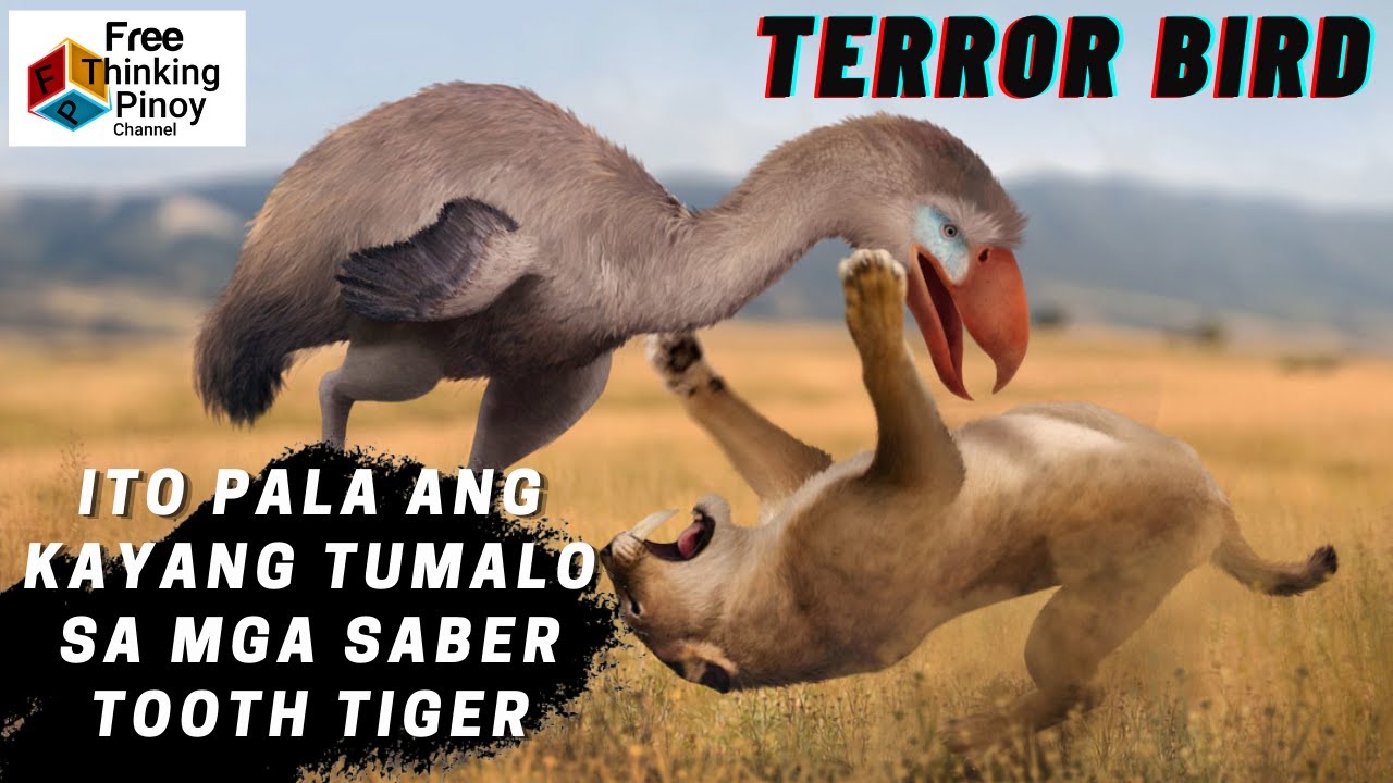 HAYOP NA KAYANG TUMALO SA SABER TOOTH TIGER | Terror Bird vs Saber Tooth | Dinosaur Bird