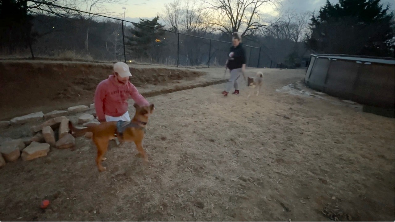 Dog Training Tip - How to Help When a Puppy Doesn't Like Dog's Approaching From the Front