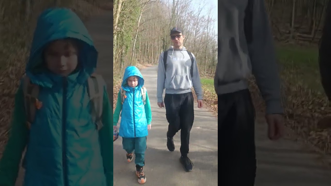 Саблезубые тигры и мамонты