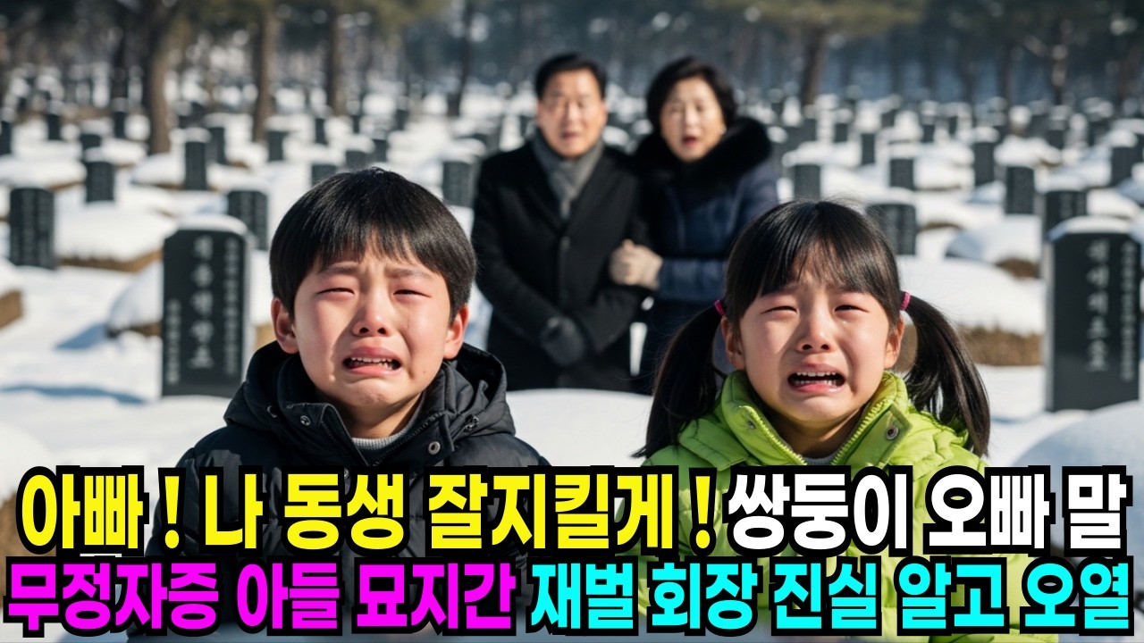 아빠 나 동생 잘 지킬게 무정자증 아들 묘지간 재벌회장부부 진실알고 오열하는데#노후사연 #사연라디오 #오디오북 #인생사연 #반전사연