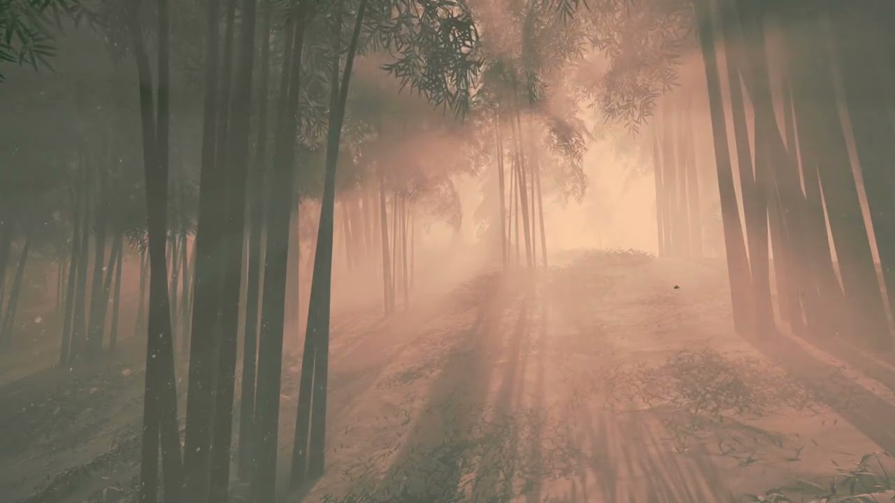 Japanese Bamboo Ambience for Study and Relaxation
