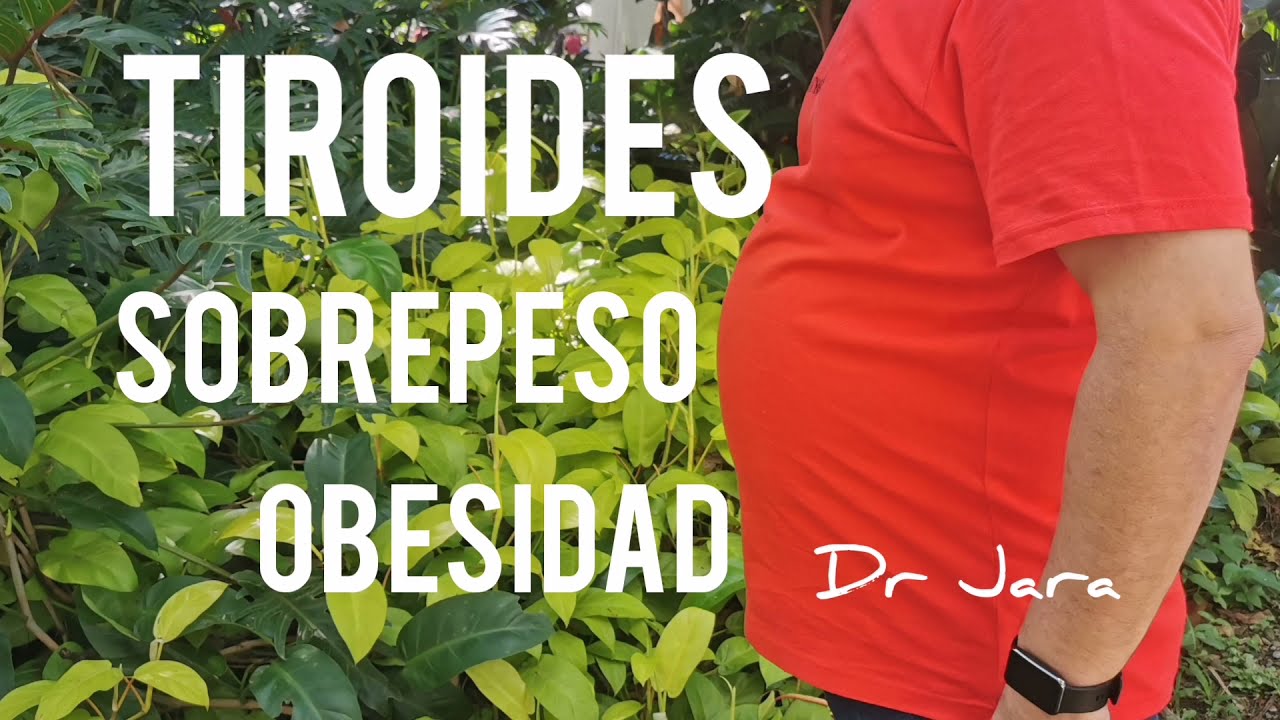 Tiroides, sobrepeso y obesidad @who