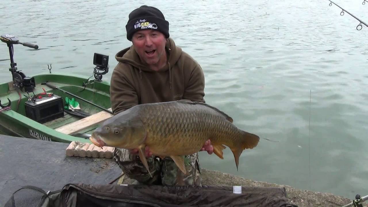 Session printanière carpes et silures sur le Tarn