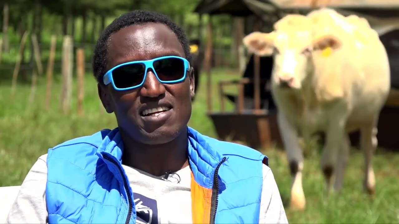 BUZEKI - The Village Billionaire Who Owns a Chopper