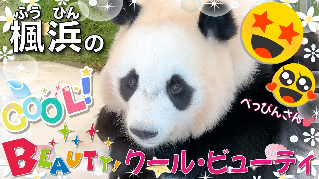 【楓浜（ふうひん）】カワイイ〜💕の声場内で連発❣️氷の上でべっぴんさんポーズを取る楓浜🍁に悶絶😍