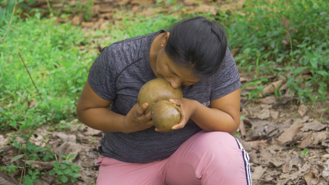 Cosechando una fruta afrodisíaca ( BOROJO)